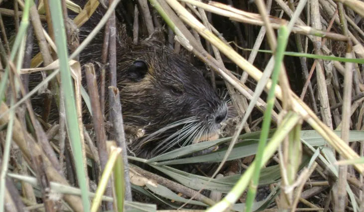 Splněný sen s 3XL Pavla Višněvského