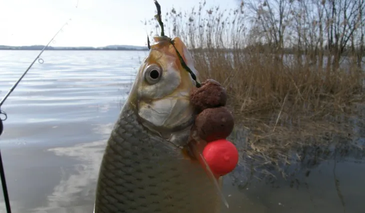 nezverejnovat, udelam jako report!!