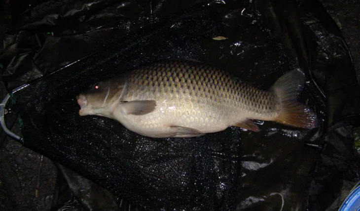 Úspěch z Ostravska