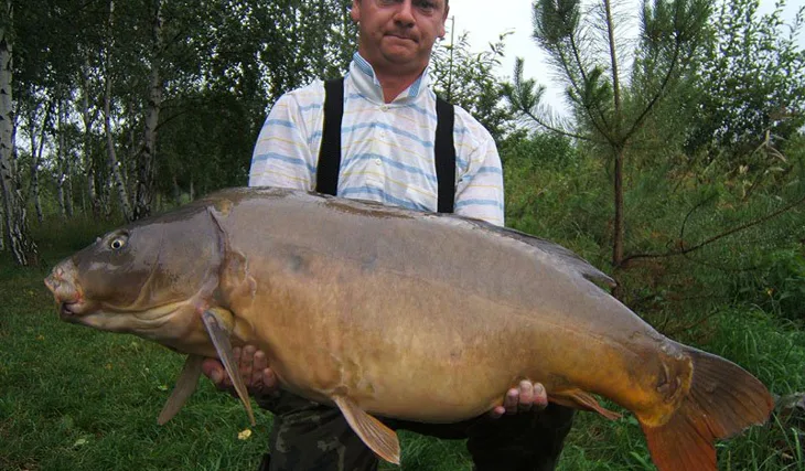 Podzimní krasavci z Orlíku