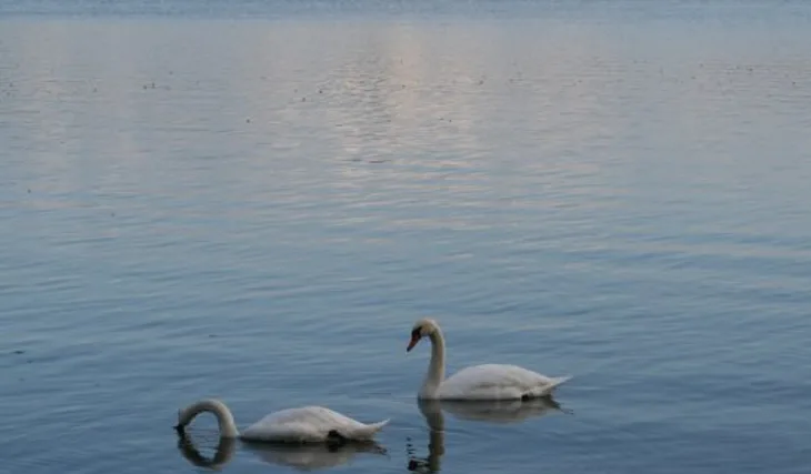 Zpátky na Tovačově