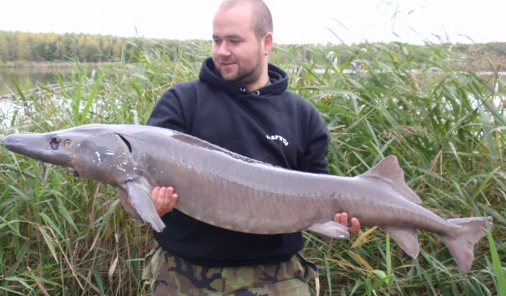 Carp´R´Us forever!