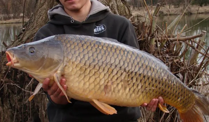 První ryby sezony pro Jirku Moce!