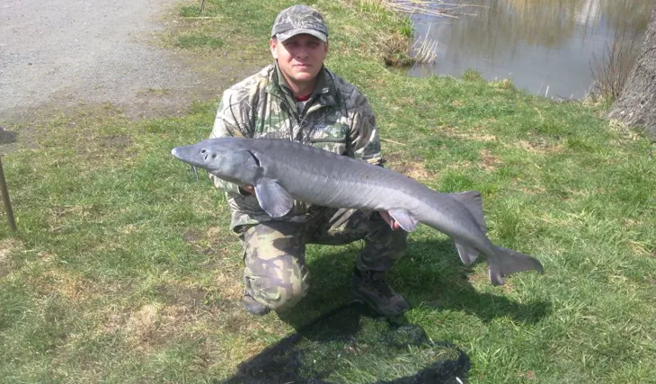 I jeseterům chutná 3XL