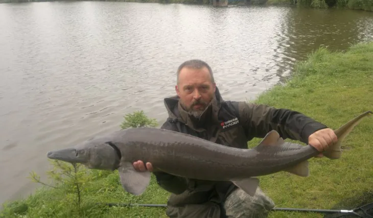 Jeseter ze soukromé vody