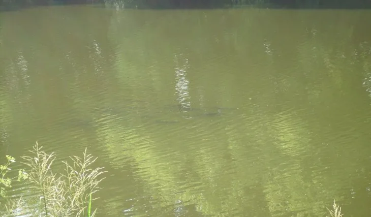 Filipův povedený lov