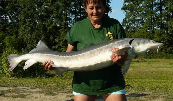 Ivany úspěch v Kelčanech