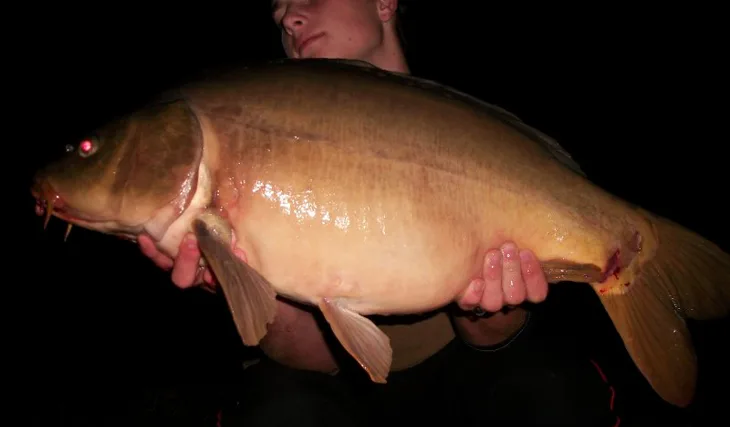 Martin Sarganek a jeho pěkná série