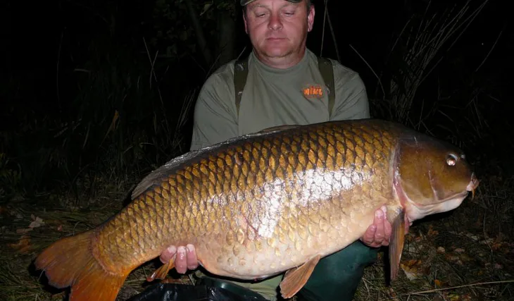 Mildovy podzimní výpravy...