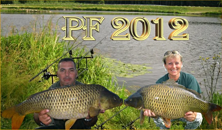 PF 2012