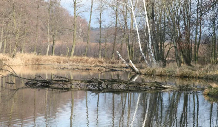 Honza Kořenek a lednová výprava