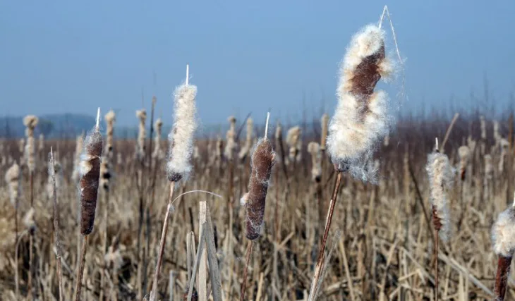 Honzovo zahájení...