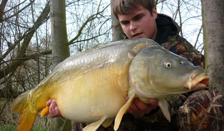 Zkouška High Attractu