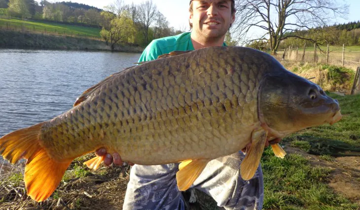 Kill Krill Atract aneb Díky Karle!!!