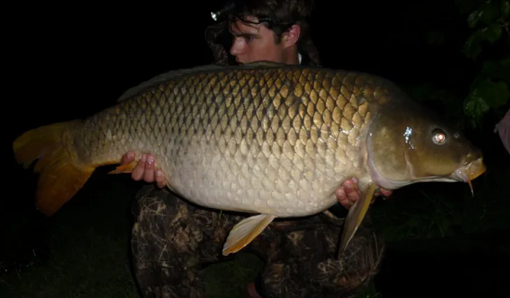 Po delší době u vody...