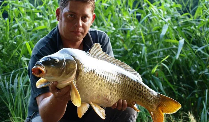 KILL KRILL BODOVAL !!!