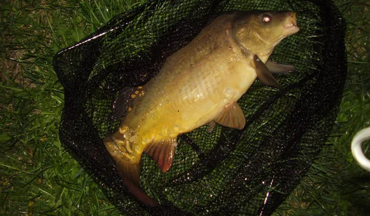 Krátká výpravička