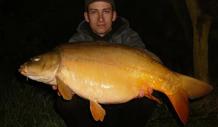 První týden v květnu