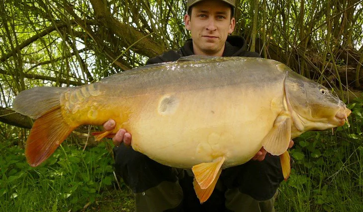 Matěj Šole a jeho eso v rukávu