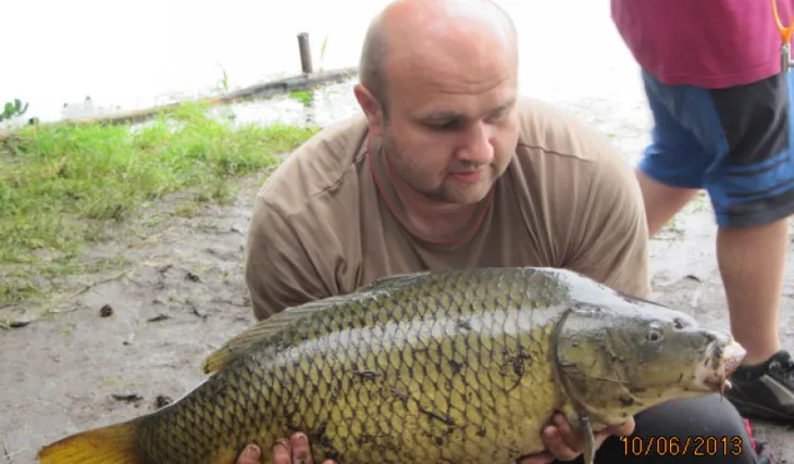 Krillberry v akci...