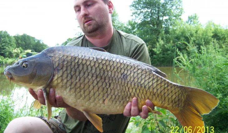 Perfektní koi pro Romana