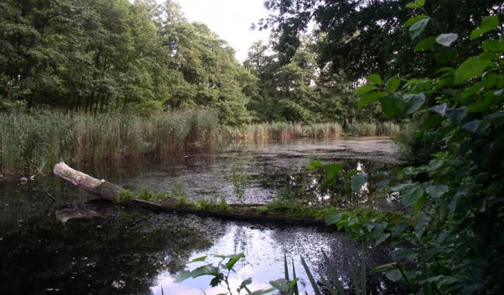 Víkend s nacucaným Oceanem