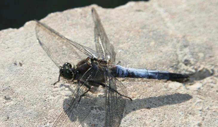 Rybaření s rodinou...