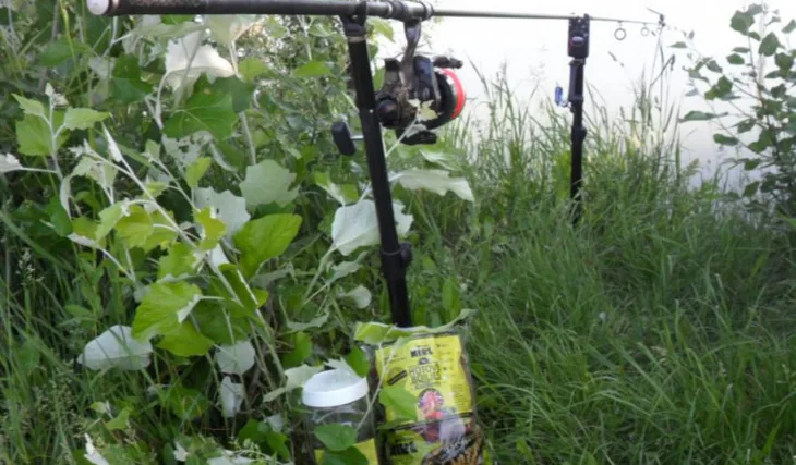 Ze začátku sezony...