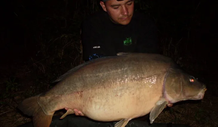 Shledání se starým známým