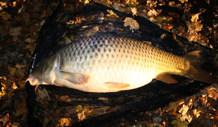 Z jednodenní vycházky...