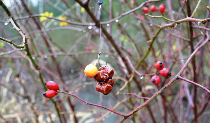 Když zima přichází