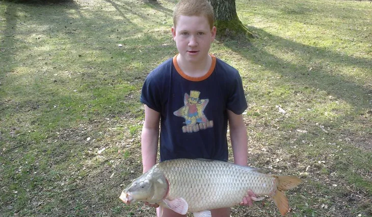 Dominikova výprava snů