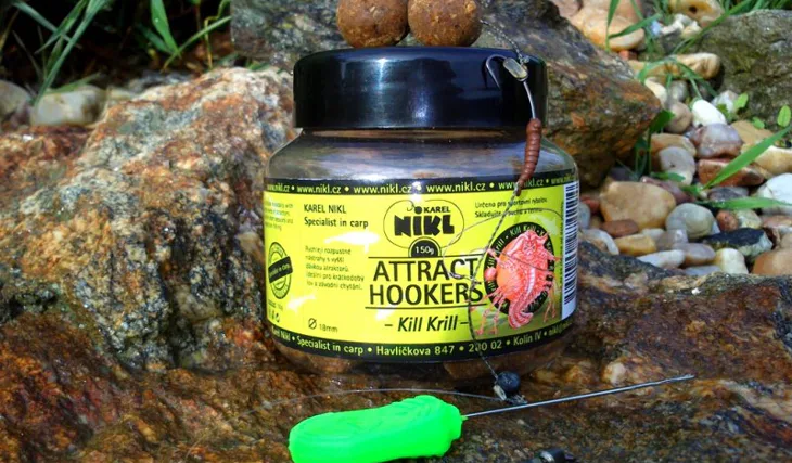 Šestihodinové rychloakce