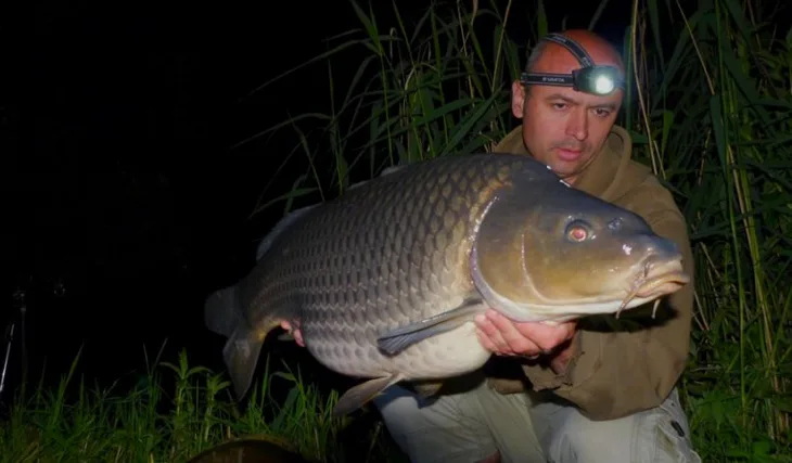 Poslední květnová noc