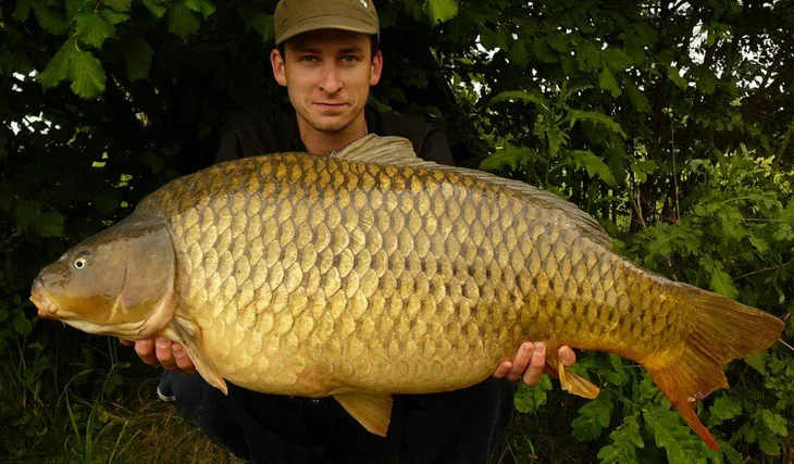 Další zpráva od Matěje