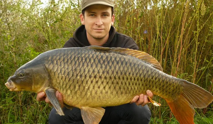 Matějův kolotoč úspěchů...