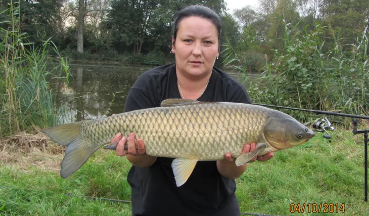 Ze Stčedních Čech