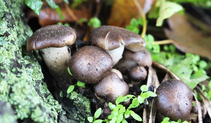 Honza na přehradě...