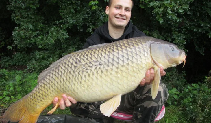 Krátkodobé vycházky