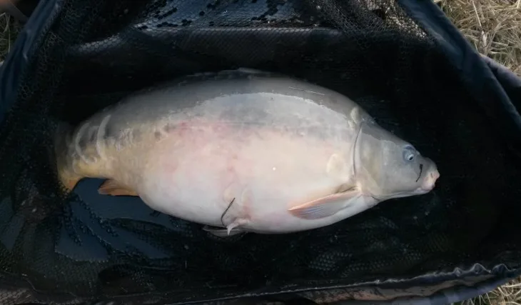 Březnová dvacítka