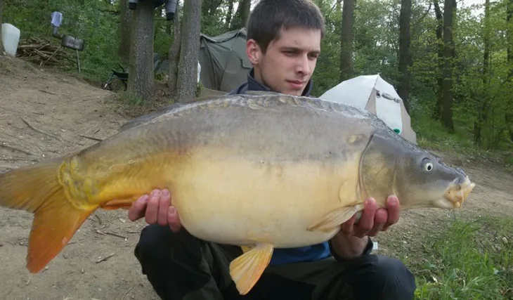 Dešná s náboji od K.Nikla