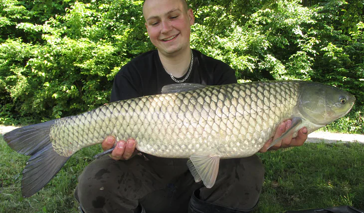 Jednodenní vycházka