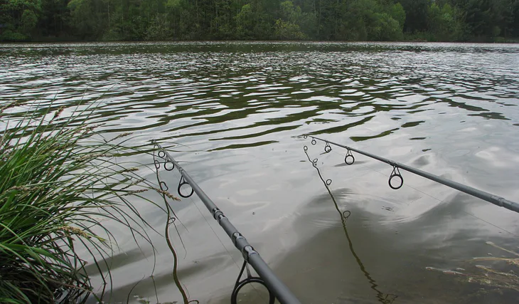 Odpočatí od školy