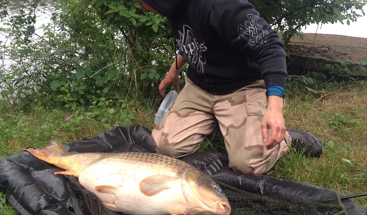 Svazovka v západních čechách