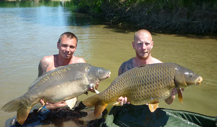 Kapří masakr na pískovně