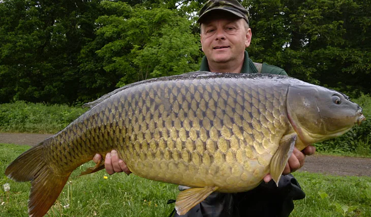 „Dvacka“ na Angry Plum