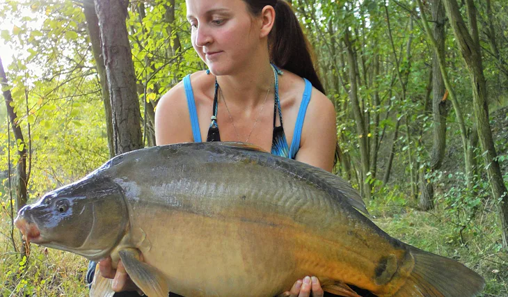 Angry plum opět v akci