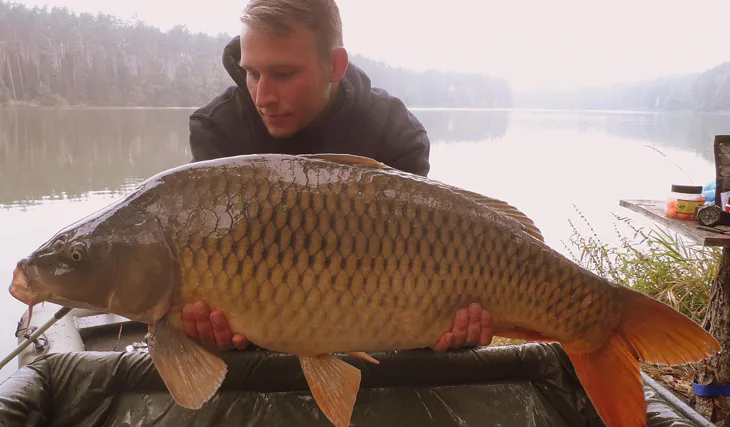 Další Robertův zářez