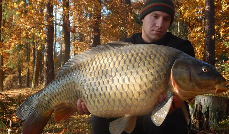 Povedená výpravička na přehradu