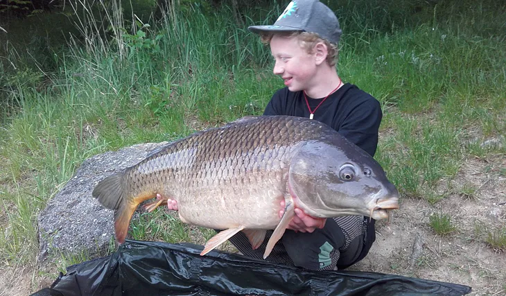 Anděl opět boduje!